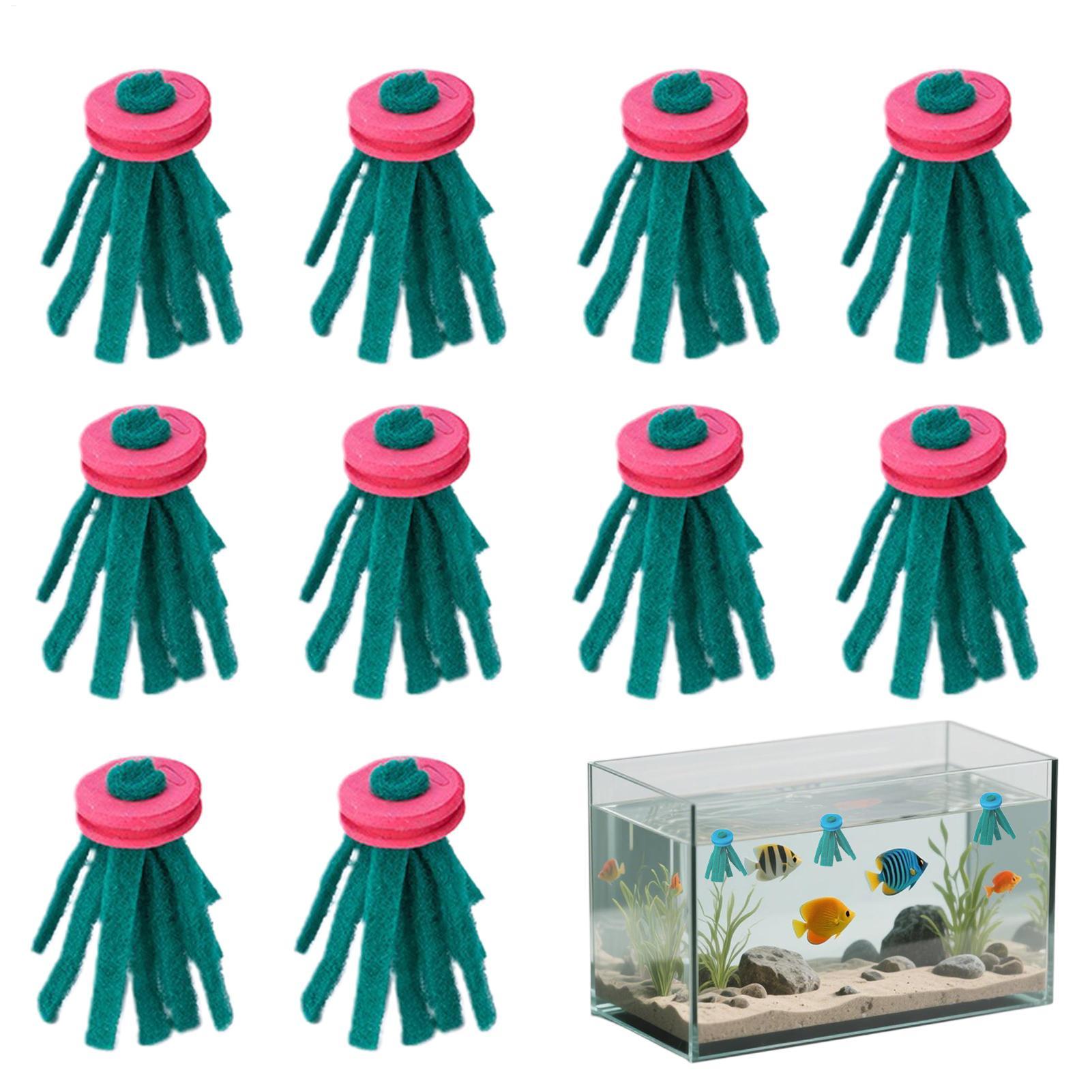 Aquarium Fish Food - 10개 수족관 부화용 모프 장식용 부화지