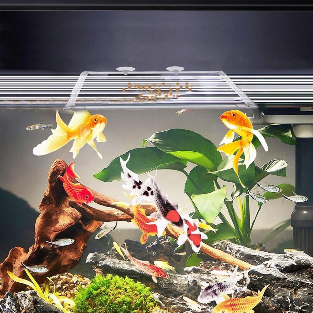 Aquarium Fish Zone - 아크릴 어항 및 야외 연못용 수족관