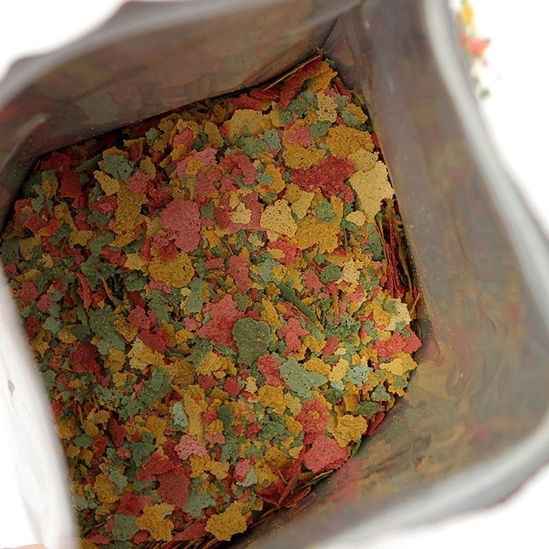 Fish Food Flake - 2026 신선한 열대어 플레이크 사료 100g