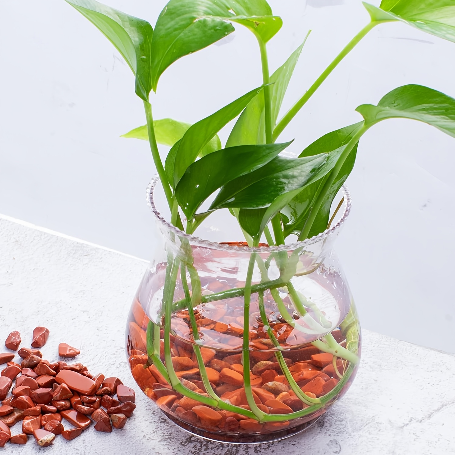 레드 재스퍼 텀블 스톤 - 천연 석영 조각, 꽃병 채우 - Aquarium Decoration Rock 리뷰 및 가격