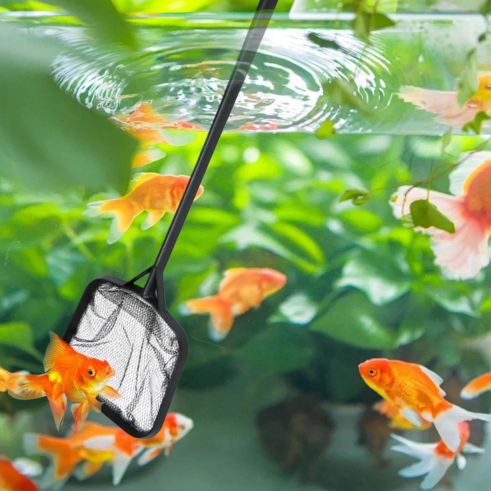 휴대용 수영장 청소용 그물망, 분수 청소용품, 수족관/ - Aquarium Fish Net 리뷰 및 가격