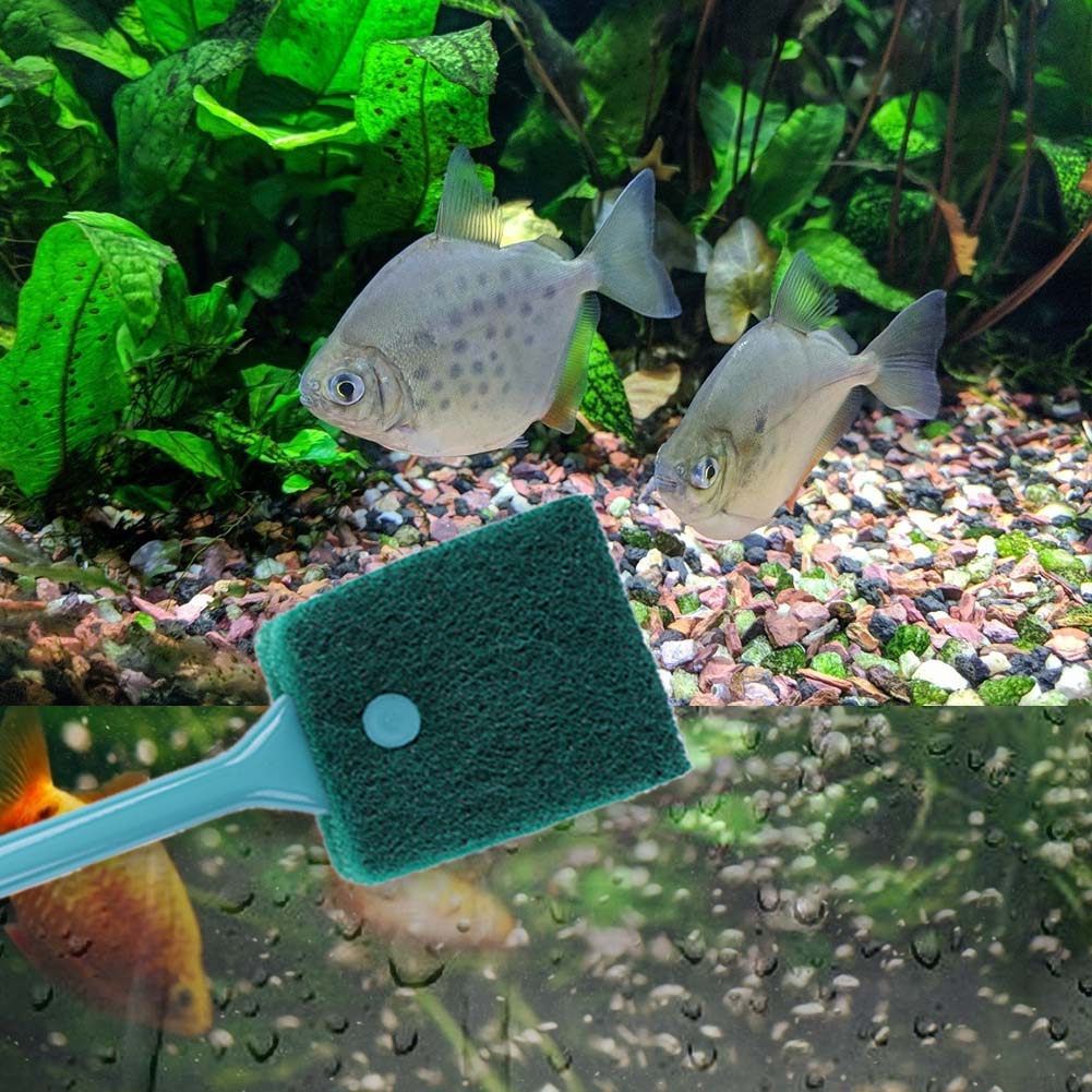 양면 어항 스펀지 클리너 긴 손잡이 수족관 조류 제거기 - Aquarium Fish Accessories 리뷰 및 가격