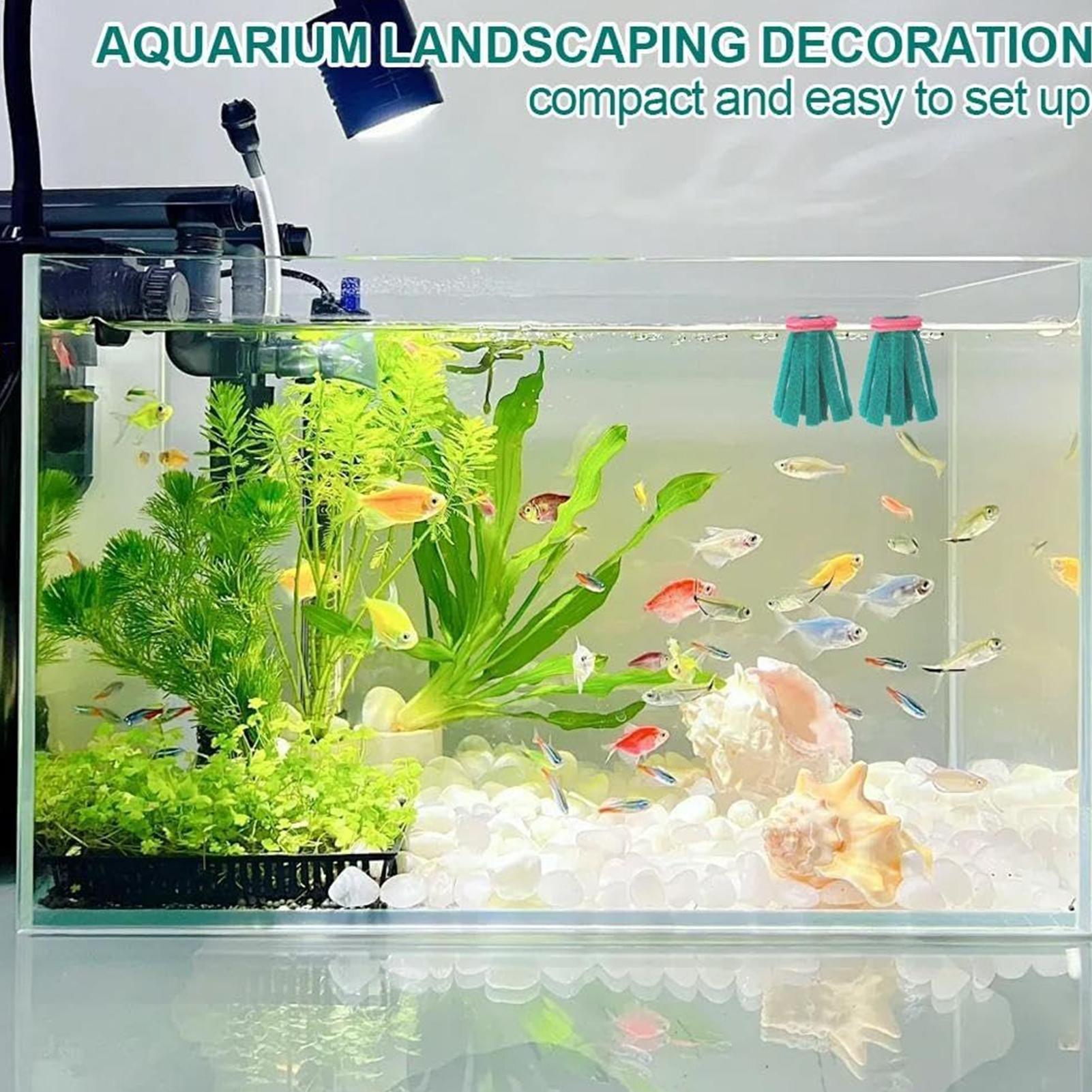 10개 수족관 부화용 모프 장식용 부화지 플로팅 에그  - Aquarium Fish Food 리뷰 및 가격