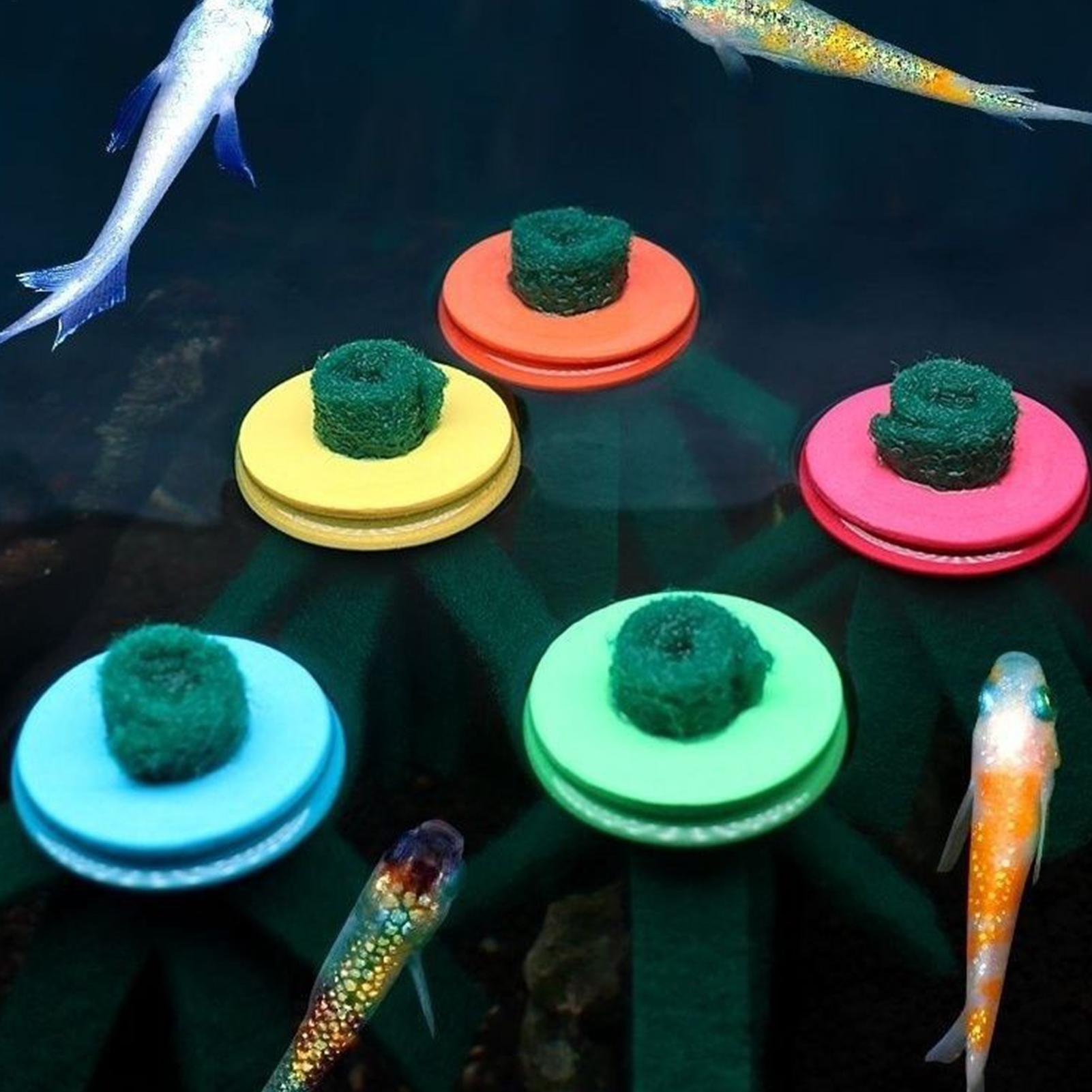 10개 수족관 부화용 모프 장식용 부화지 플로팅 에그  - Aquarium Fish Food 리뷰 및 가격