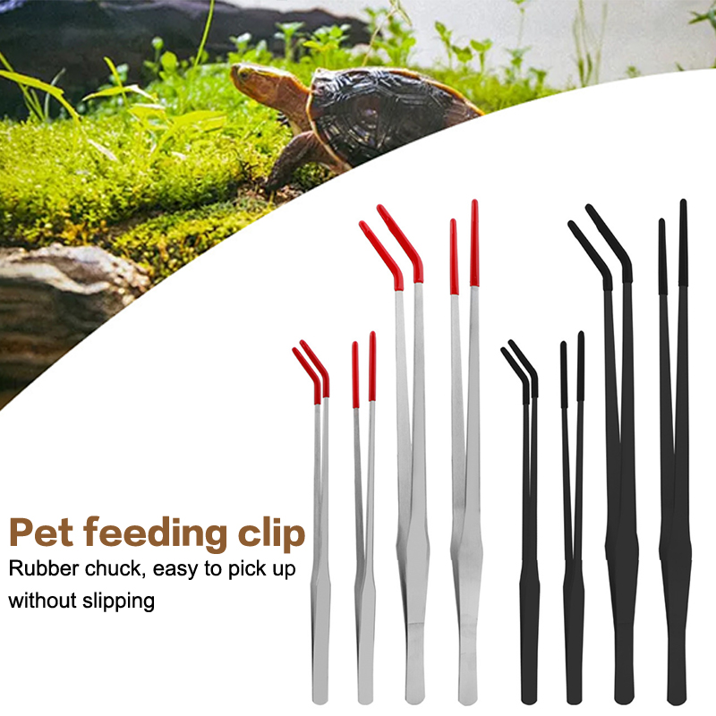스테인리스 스틸 어항 관리 도구, 고무 팁이 있는 파충 - Aquarium Fish Food 리뷰 및 가격