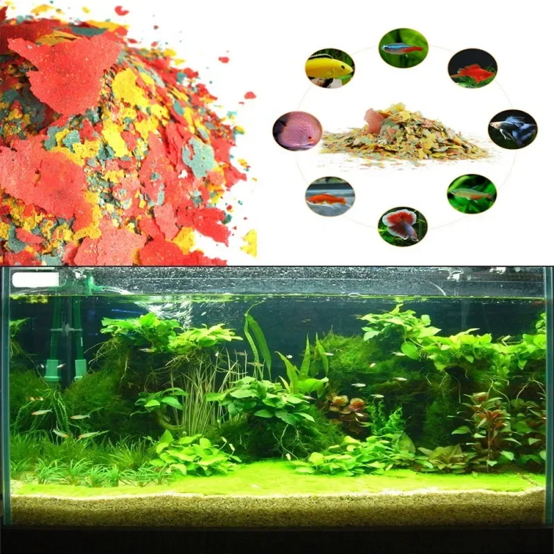 생선 식품 착색 및 미백 사료 고영양 열대어 성장 건강 - Fish Food Flake 리뷰 및 가격