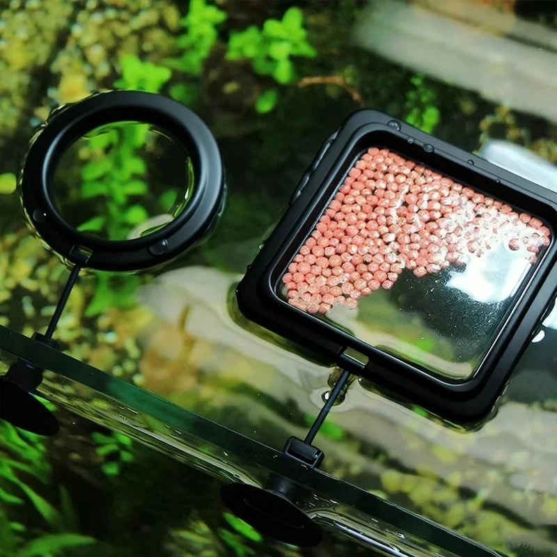 1/3개 수족관 물고기 먹이 링 어항 하트 모양 플로팅 - Aquarium Fish Food 리뷰 및 가격