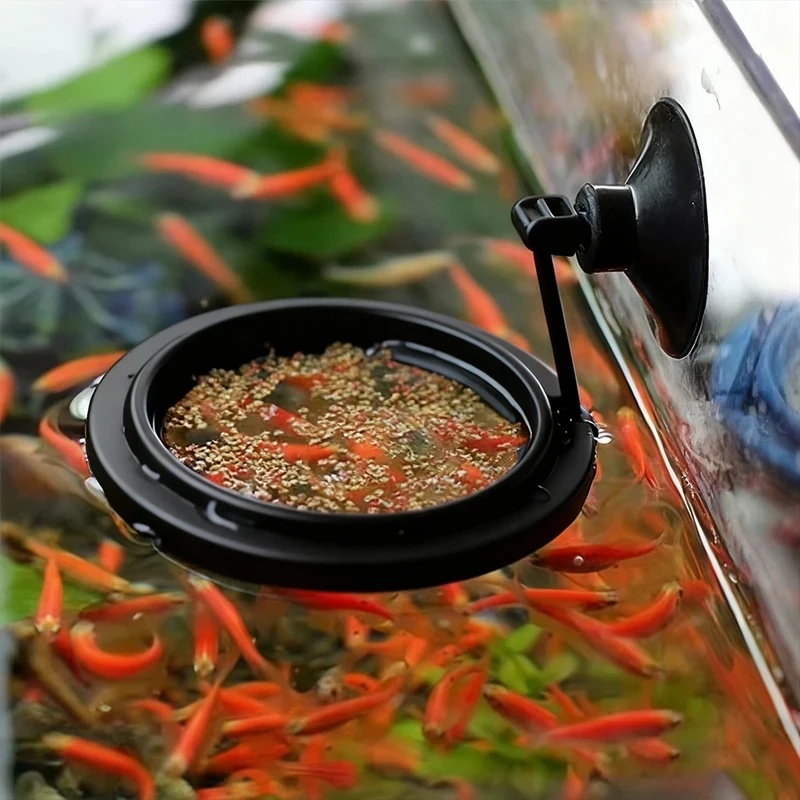 1/3개 수족관 물고기 먹이 링 어항 하트 모양 플로팅 - Aquarium Fish Food 리뷰 및 가격