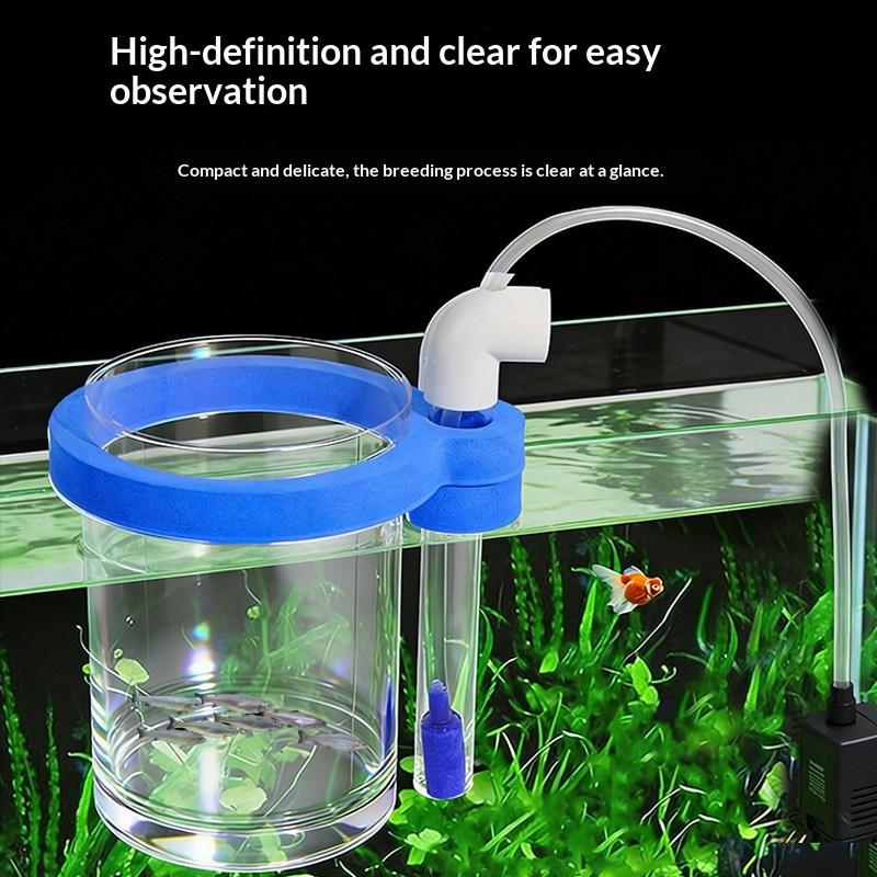투명 아크릴 물고기 번식 상자, 물고기 새끼 먹이주기용 - Aquarium Fish Food 리뷰 및 가격