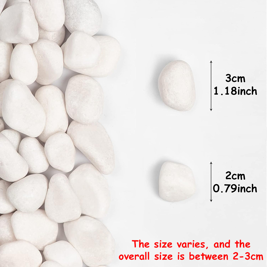 200/400g 흰색 고광택 천연 자갈 2-3cm 마당 - Aquarium Decoration Rock 리뷰 및 가격