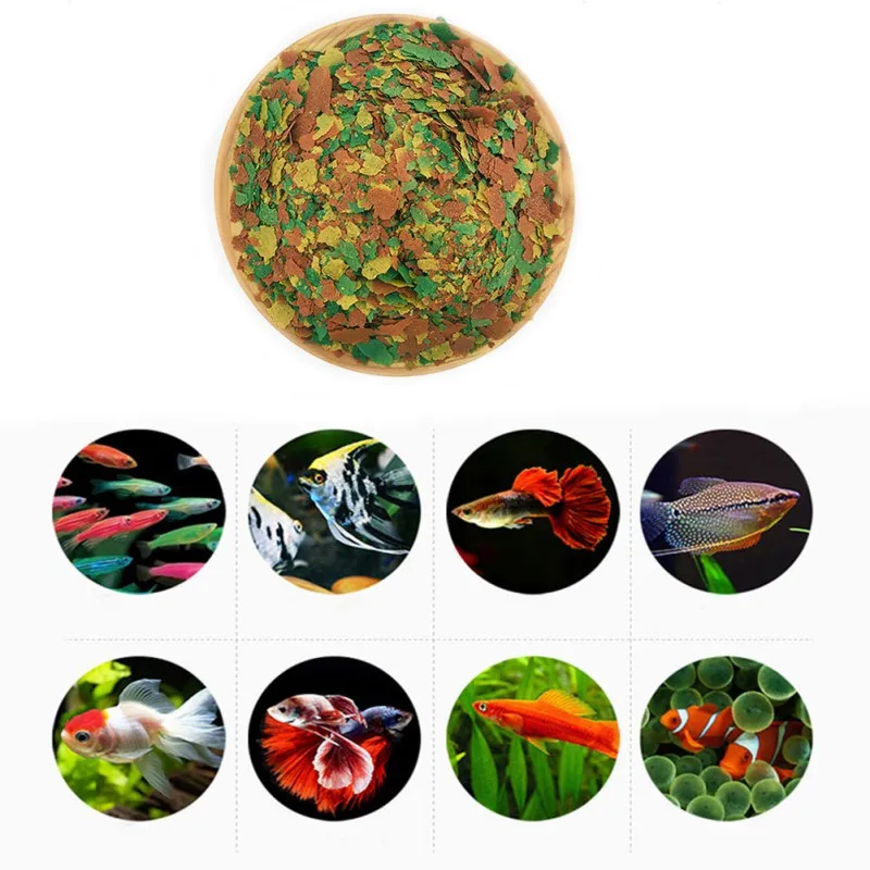 물고기 식품 착색 및 브라이트닝 사료, 고영양 열대어  - Fish Food Flake 리뷰 및 가격