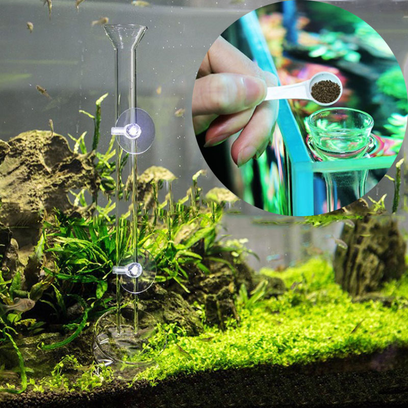 유리 수족관 피더 튜브 접시, 투명 어항, 새우 달팽이 - Aquarium Fish Food 리뷰 및 가격