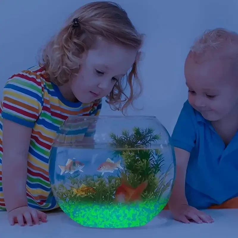 1000pcs 어두운 자갈 돌에 3-5mm 빛나는 모래 - Aquarium Decoration Rock 리뷰 및 가격