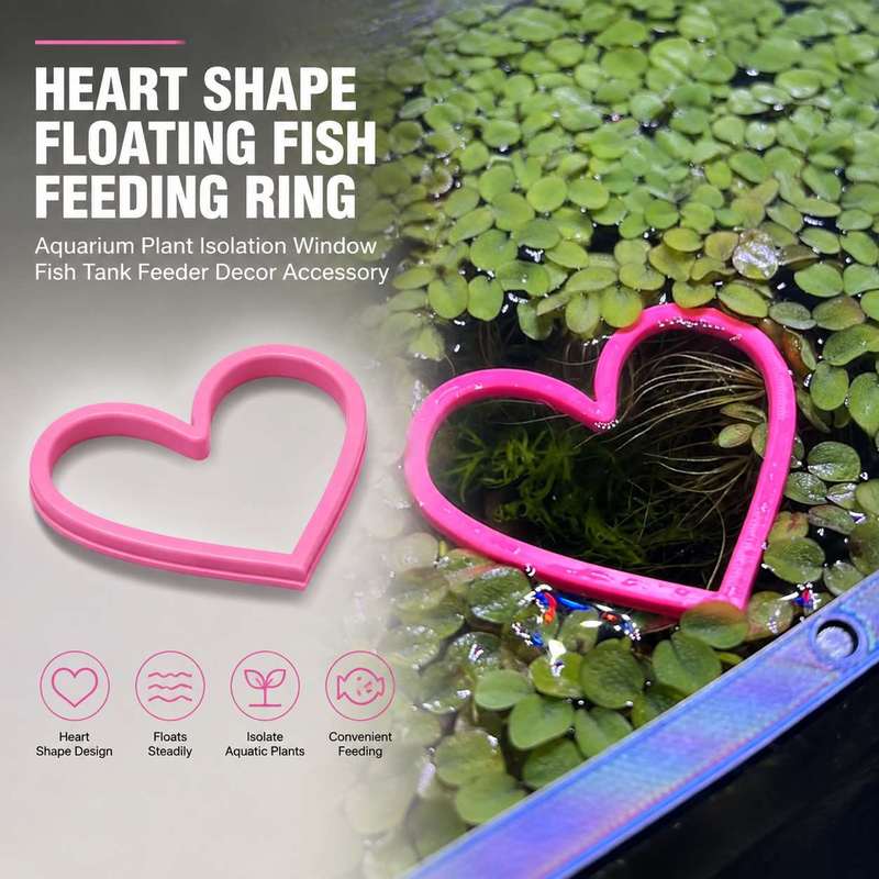 하트 모양의 물고기 먹이 공급 링 수족관 어항 물고기  - Aquarium Fish Food 리뷰 및 가격