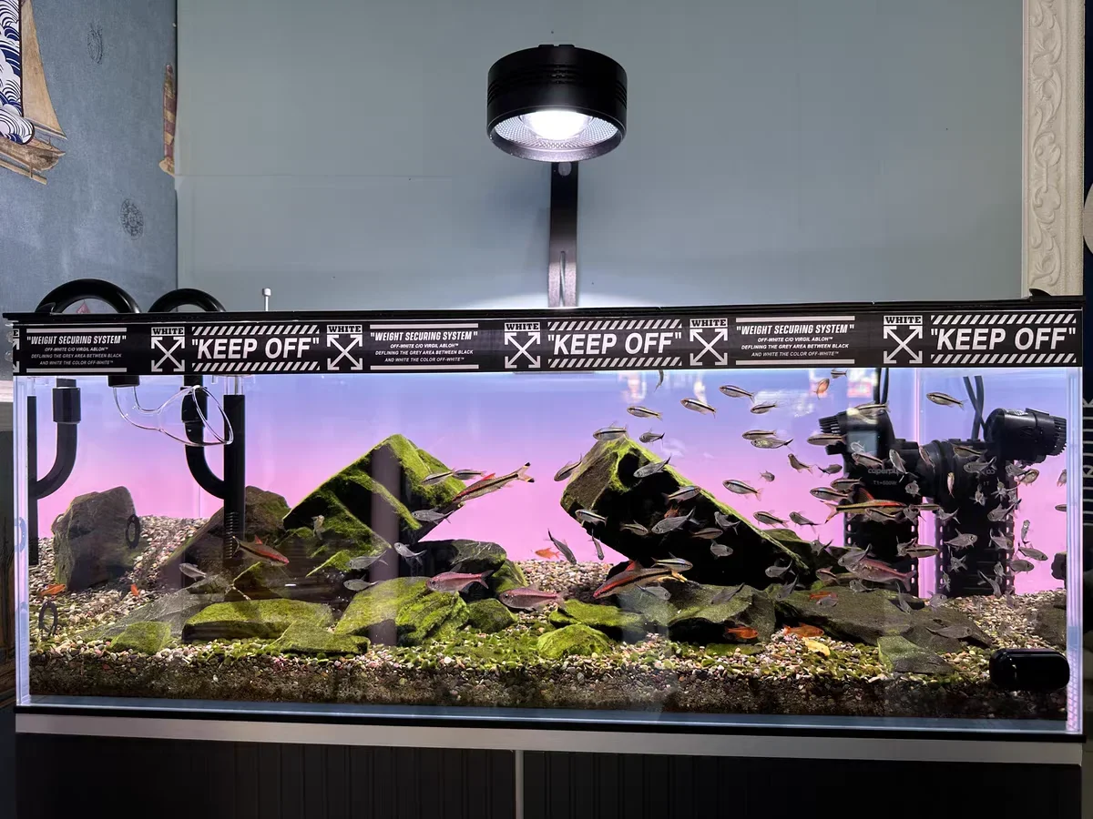 RGB 아크릴 어항 배경 화려한 그라데이션 발광 앱 제 - Aquarium Fish Colour 리뷰 및 가격