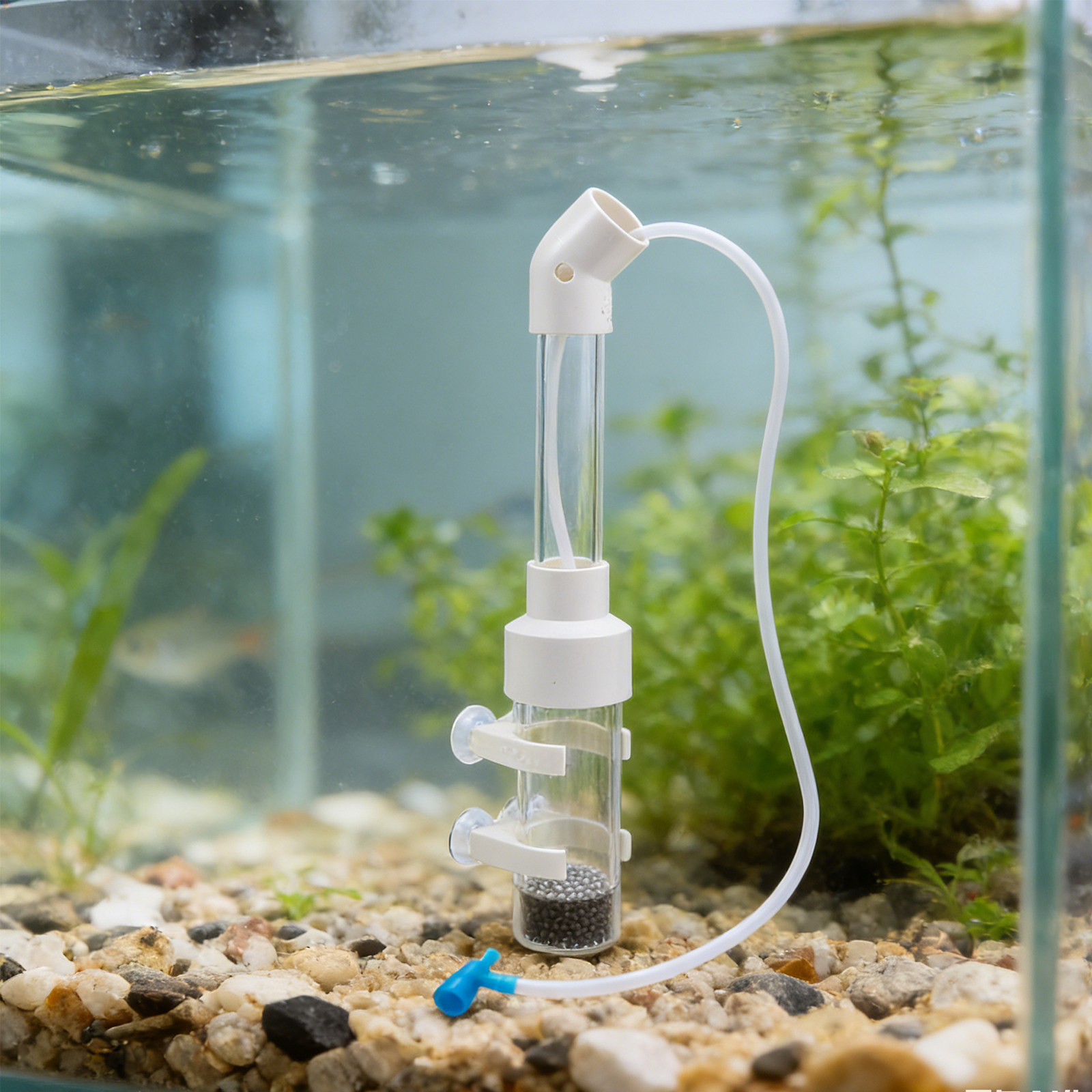 2세트 어류 알 부화기 키트, 자동 40mm 투명 텀블 - Aquarium Fishes 리뷰 및 가격