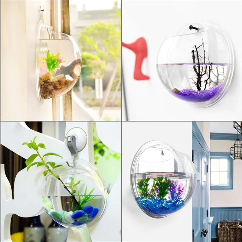투명 아크릴 걸이식 벽 수족관, 식물 꽃병 꽃, 잔디  - Aquarium Fish Names 리뷰 및 가격
