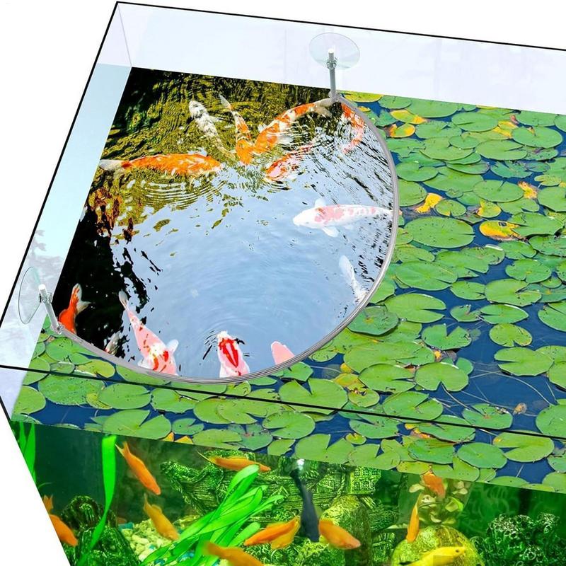 부동 식물 마구간 물고기 먹이 링 분리 및 보호 부동  - Aquarium Fish Food 리뷰 및 가격