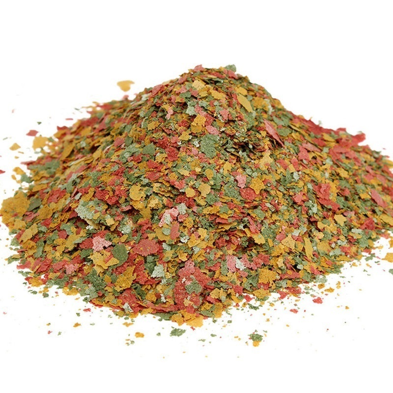 2026 신선한 열대어 플레이크 사료 100g AF 대 - Fish Food Flake 리뷰 및 가격
