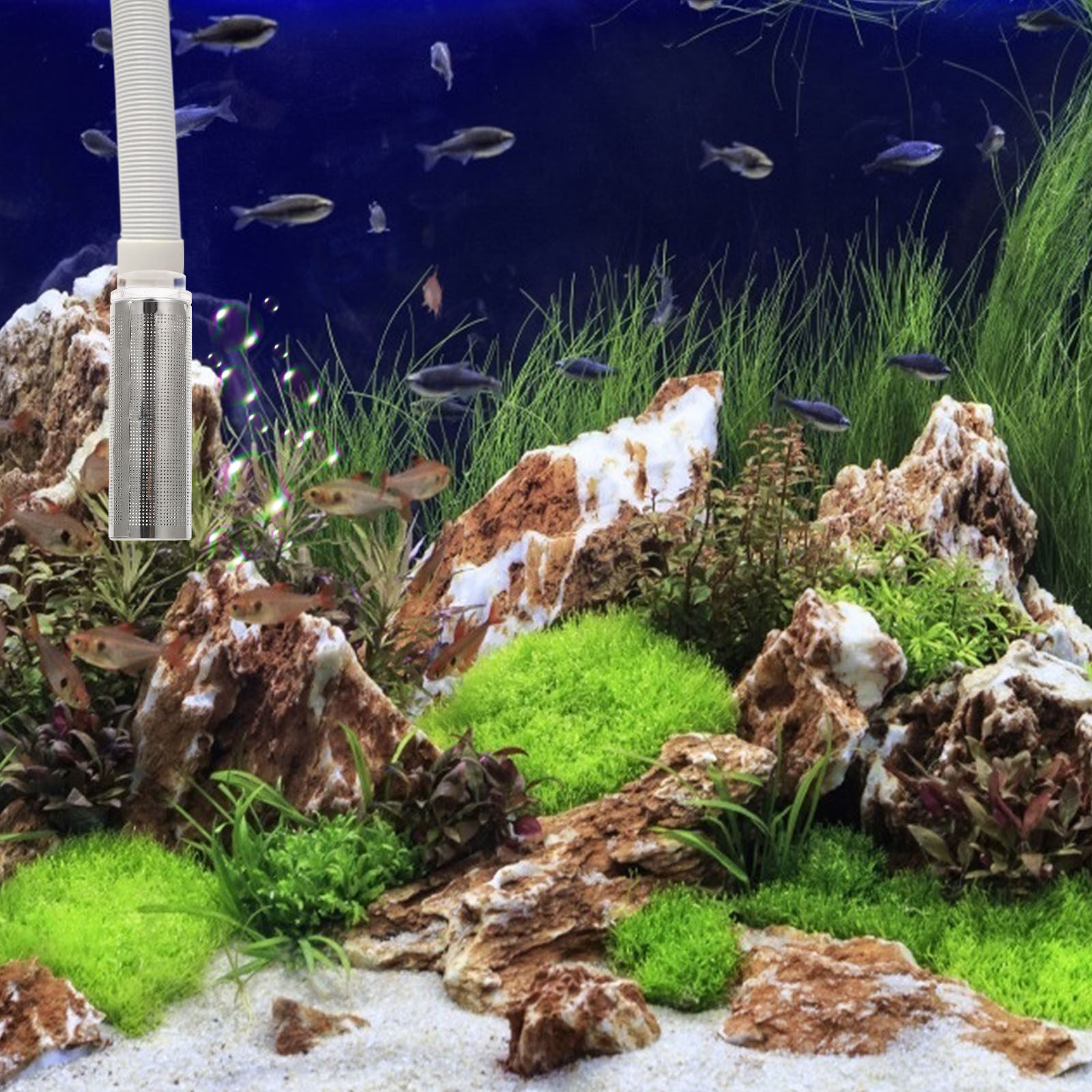 1개 스테인리스 스틸 아크릴 수족관 필터 메쉬 커버 교 - Aquarium Fish Net 리뷰 및 가격